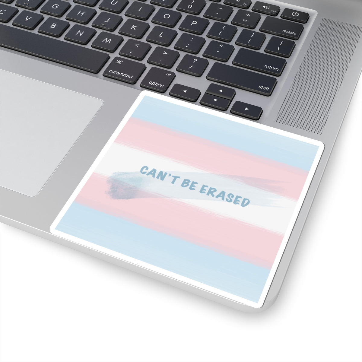 "can't be erased" Sticker